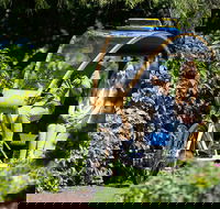 Adelaide 90-Minute Pedicab Tour Scenic Green  River Experience - Accommodation Mt Buller