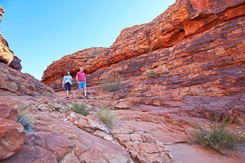Kings Canyon Day Trip From Ayers Rock (Uluru) - Accommodation Mt Buller 2