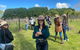 Mt Tamborine Full Day Wine Tour - thumb 1