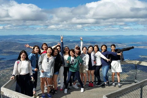 Mt Field National Park Active Day-Trip Including Bonorong And Mt Wellington - Accommodation Mt Buller 2
