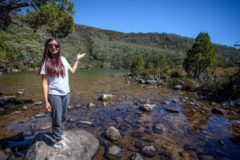 Mt Field National Park Active Day-Trip Including Bonorong And Mt Wellington - Accommodation Mt Buller 4