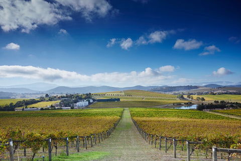 Yarra Valley Wine And Wildlife Self-Driving Tour - Accommodation Mt Buller 1
