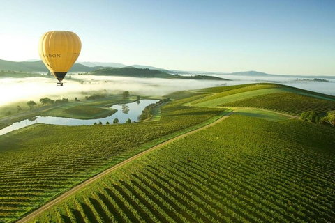 Half-Day Or Full-Day Tour With Private Guide From Melbourne - Accommodation Mt Buller 4