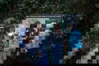 Sunshine Coast Hinterland and Noosa Day Trip from Brisbane Including Eumundi Markets and Ginger Factory