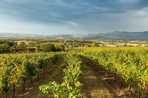 Yarra Valley Local Produce And Wine Tasting Tour - Accommodation Mt Buller 3