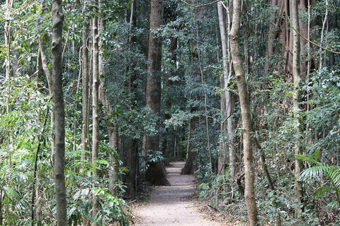 Eumundi Markets And Sunshine Coast Day Trip From Brisbane - Accommodation Mt Buller 4