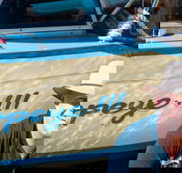 Torrens River Cruise in Adelaide - Accommodation Mt Buller