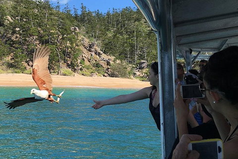 Aquascene Magnetic Island Discovery Tour - Accommodation Mt Buller 2