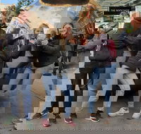 Guided Walking Tour in Adelaide - Accommodation Mt Buller