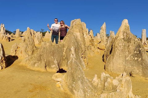 The Pinnacle Adventure Tour - Accommodation Mt Buller 4