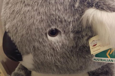 Ballarat Gold Fields Tour - Accommodation Mt Buller 5