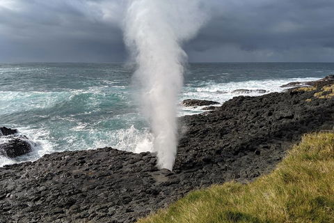 Erupting Blowholes And Ancient Rainforests With 'Personalised Sydney Tours' - Accommodation Mt Buller 1