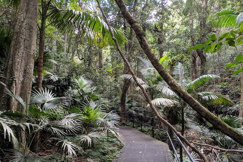 Erupting Blowholes And Ancient Rainforests With 'Personalised Sydney Tours' - Accommodation Mt Buller 2