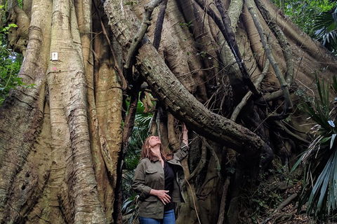 Erupting Blowholes And Ancient Rainforests With 'Personalised Sydney Tours' - Accommodation Mt Buller 4