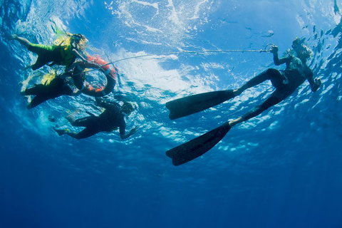 Passions Of Paradise Great Barrier Reef Snorkel And Dive Cruise From Cairns By Luxury Catamaran - Accommodation Mt Buller 2
