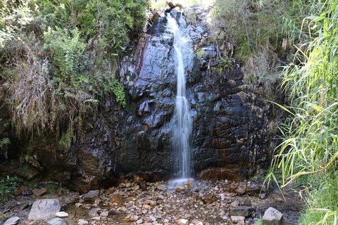 Mount Lofty Hike And Cleland Wildlife Park Day Trip From Adelaide - Accommodation Mt Buller 4
