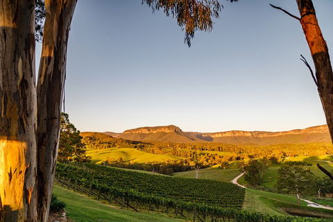 Taste Of The Blue Mountains - Lunch & Wine Tasting, Beer, Cider & Gin Tasting - Accommodation Mt Buller 1