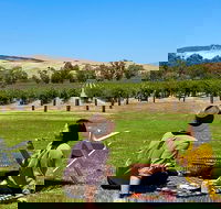Private Picnic and Wine Tasting Experience in Barossa Valley - Accommodation Mt Buller