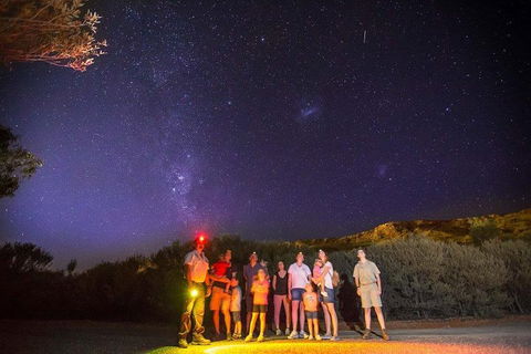 Alice Springs Desert Park Nocturnal Tour - Accommodation Mt Buller 2