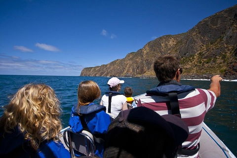 Seal Island Boat Tour From Victor Harbor - Accommodation Mt Buller 0