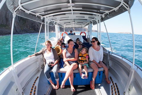 Seal Island Boat Tour From Victor Harbor - Accommodation Mt Buller 1