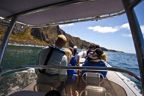 Seal Island Boat Tour From Victor Harbor - Accommodation Mt Buller 2