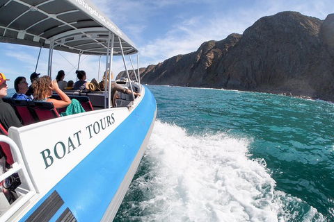 Southern Ocean Adventure From Victor Harbor - Accommodation Mt Buller 0