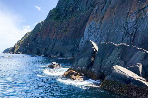 Southern Ocean Adventure From Victor Harbor - Accommodation Mt Buller 3