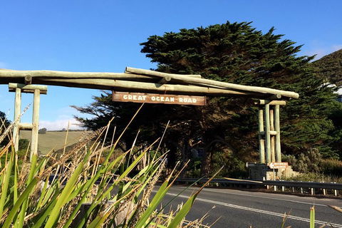 Melbourne Super Saver: Great Ocean Road + Wilsons Promontory + Attraction Pass - Accommodation Mt Buller 1
