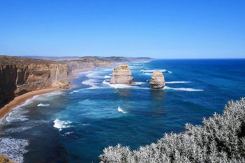 Melbourne Super Saver: Great Ocean Road + Wilsons Promontory + Attraction Pass - Accommodation Mt Buller 5