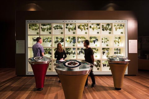 Australian Wine Discovery Tour Ticket - Accommodation Mt Buller 3