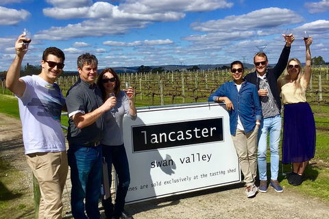 Swan Valley Tour From Perth: Wine, Beer And Chocolate Tastings - Accommodation Mt Buller 1