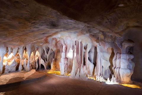 Springbrook AndTamborine Rainforest Tour Incl Natural Bridge And Glow Worm Cave - Accommodation Mt Buller 4
