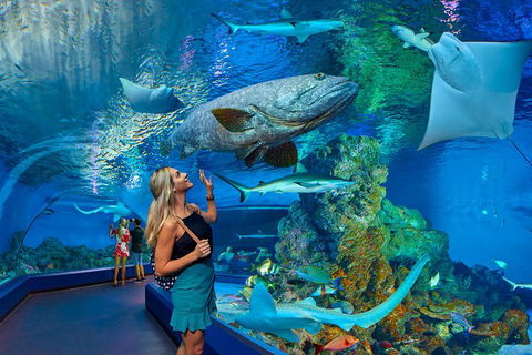 Cairns Aquarium Admission Ticket - Accommodation Mt Buller 3
