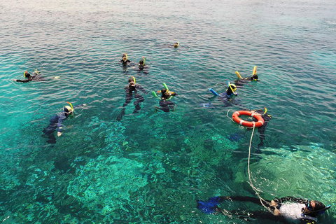 Seastar Luxury Outer Great Barrier Reef Island And Reef Tour From Cairns - Accommodation Mt buller 2