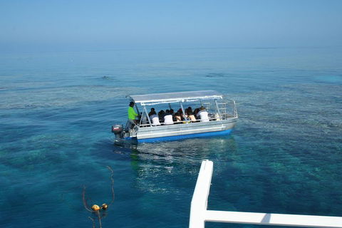 Seastar Luxury Outer Great Barrier Reef Island And Reef Tour From Cairns - Accommodation Mt buller 5