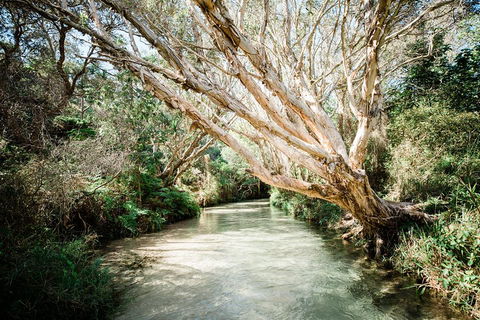 3-Day Fraser Island Resort Package - Accommodation Mt Buller 5