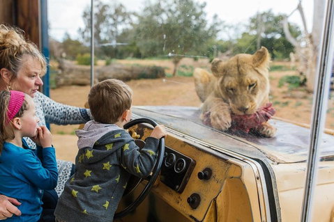 Werribee Open Range Zoo General Admission Ticket - Accommodation Mt Buller 4