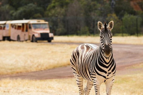 Werribee Open Range Zoo General Admission Ticket - Accommodation Mt Buller 5