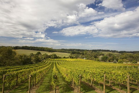 Mornington Peninsula Farm Produce Wine And Cider Tour - Accommodation Mt Buller 5