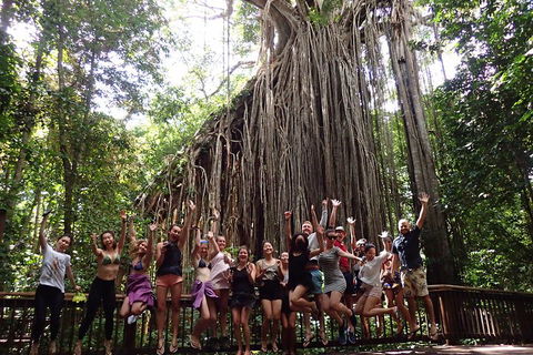 Atherton Tablelands Waterfalls Tour From Cairns - Accommodation Mt Buller 5