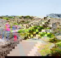 Margaret River Coastal and Wildlife Eco Trip from Busselton or Dunsborough - Accommodation Mt Buller